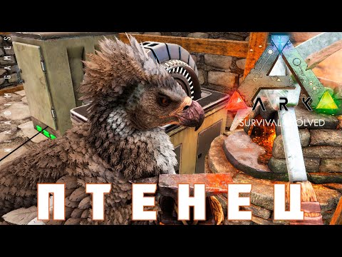 Видео: 🦕 ARK: SURVIVAL EVOLVED ПТЕНЕЦ #22