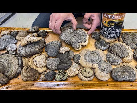 Видео: Эксклюзив. Стол из грибов, цветных камней и эпоксидной смолы.