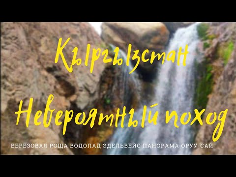 Видео: Кыргызстан. Крутой поход к берёзовой рощи и крутой спуск к водопаду Эдельвейс. Панорама Оруу-Сай