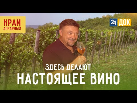 Видео: Новые вина Кубани – секреты производства. КРАЙ АГРАРНЫЙ