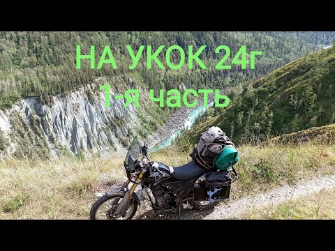 Видео: 31 декабря 2024 г.