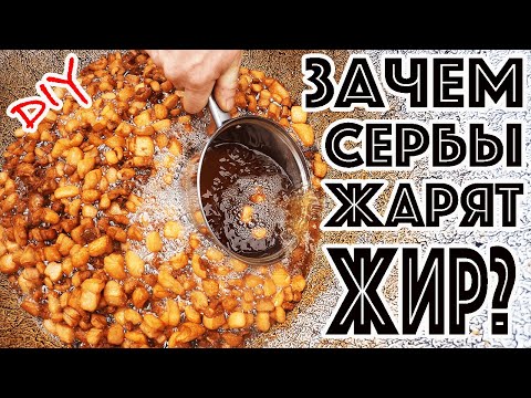 Видео: ЧВАРЦЫ ИЛИ ШКВАРКИ? ГЛАВНАЯ СЕРБСКАЯ ЕДА! ГДЕ ПОПРОБОВАТЬ ЧВАРЦЫ? КАК ПРИГОТОВИТЬ ПОЛЕЗНЫЕ ЧВАРЦИ?