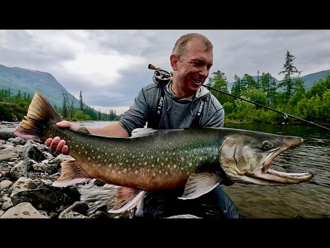 Видео: Год Гольца