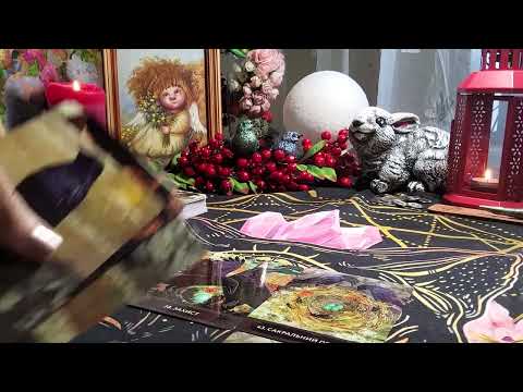 Видео: ВАША СИТ2АЦИЯ ГЛАЗАМИ ГОРОДСКих  ВОРОНОВ #оракул #siraya