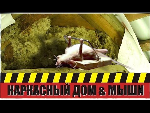 Видео: Мыши в стенах каркасного дома