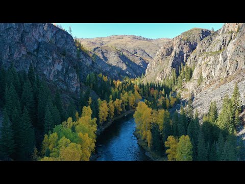 Видео: Путешествие с рыбалкой в удивительный Восточный Казахстан/Взял на рыбалку отца и он всех обловил.