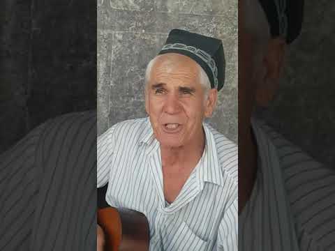 Видео: малими Амоншайхи давом