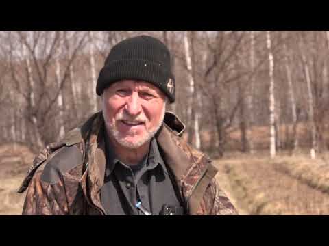 Видео: №445-О безъямной посадке плодовых деревьев. Ответы на вопросы.