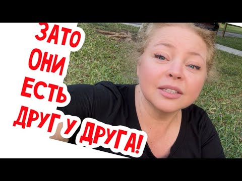 Видео: Её все обижают!  #натальяфальконе #сша #usa