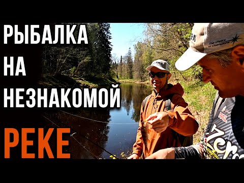 Видео: Рыбалка на незнакомой реке.