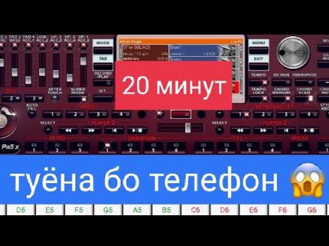 Видео: 20 минут туёна бо телефон.                   #ритм #туёна #ритмоиточики #орг #org2023