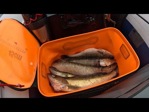 Видео: Осенняя рыбалка на судака.Закрытие лодочного сезона.