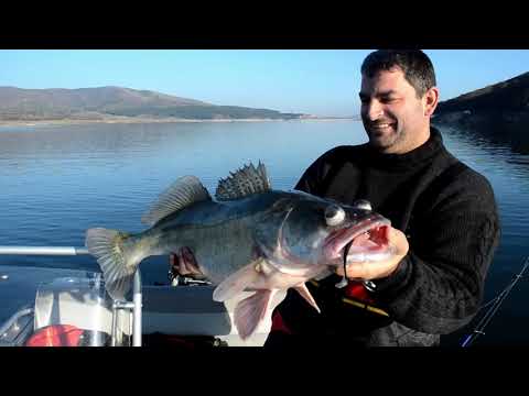 Видео: Зимата на белите риби (яз. Кърджали) - част 2 / Zander jig fishing in winter - part 2