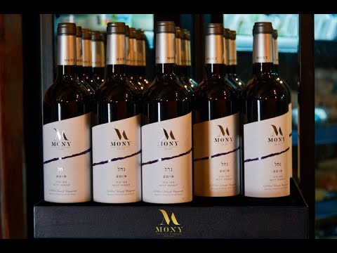 Видео: Винодельня Мони. Израиль. 2021