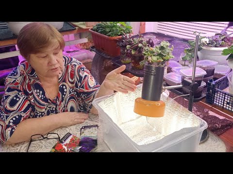 Видео: Новая задумка для выращивания рассады. Подготовка к посеву на рассаду - залог успешных посадок!