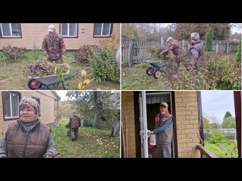 Видео: НАВЕЛИ ПОРЯДОК В ПАЛИСАДНИКЕ,ОБРЕЗАЛИ ГОРТЕНЗИИ И ФЛОКСЫ.