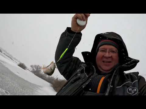 Видео: Первый лед 2023-2024 Саратов, вышел на проверку.#newvideo #зимняярыбалка#точкаотдыха#точкаотдыха64