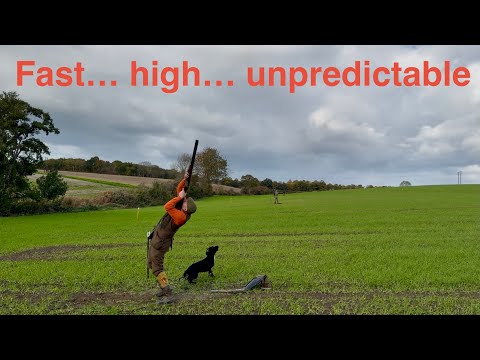 Видео: Фантастическая стрельба, проверка моих способностей!!