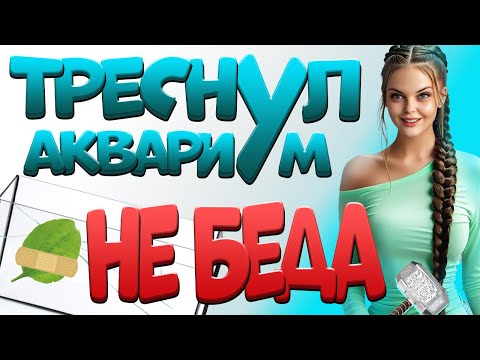 Видео: Клеим аквариум в домашних условиях! Как склеить аквариум дома или устранить течь. Сделай сам.