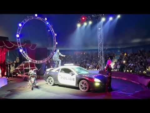 Видео: Цирк золото Африки. Сircus gold Africa!