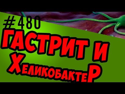 Видео: гастрит, изжога и хеликобактер helicobacter