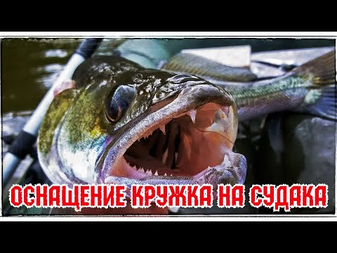 Видео: Снасть для ловли Судака  Оснащение Кружков
