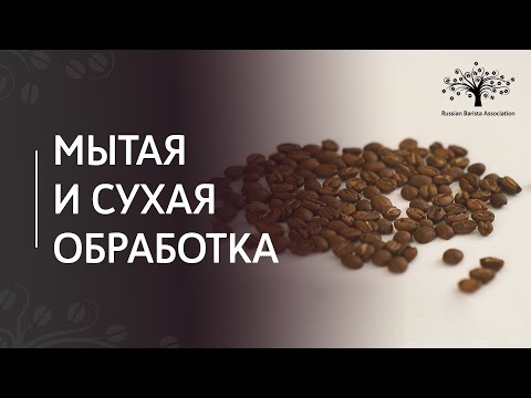 Видео: Методы обработки кофейного зерна | Сухая, мытая обработка кофе