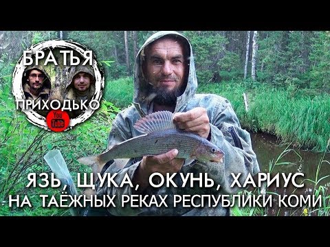 Видео: ЯЗЬ ЩУКА ОКУНЬ ХАРИУС НА ТАЕЖНЫХ РЕКАХ РЕСПУБЛИКИ КОМИ