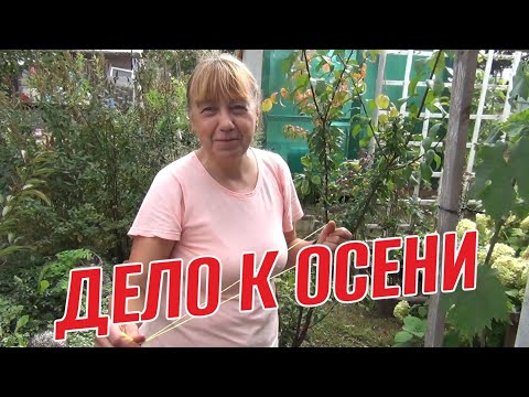 Видео: ДЕЛО К ОСЕНИ