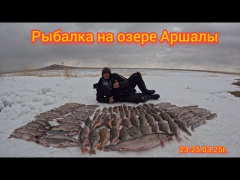 Видео: РЫБАЛКА НА ЩУКУ И КРУПНОГО ОКУНЬ НА ОЗЕРЕ АРШАЛЫ!!!
