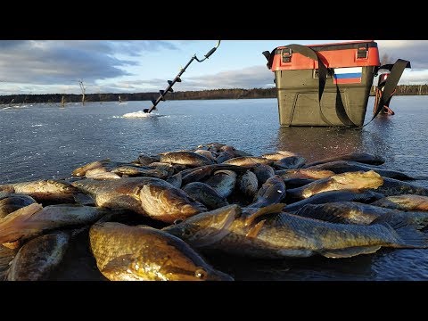 Видео: Ловля Ротана зимой, по первому льду!