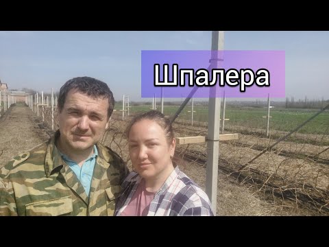 Видео: Как сделать шпалеру для летней малины на БЕТОННЫХ СТОЛБАХ