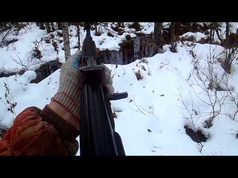 Видео: ЖЕСТЬ!ОХОТА НА МЕДВЕДЯ В ОДИНОЧКУ 17г.Берлога 500м от дома!