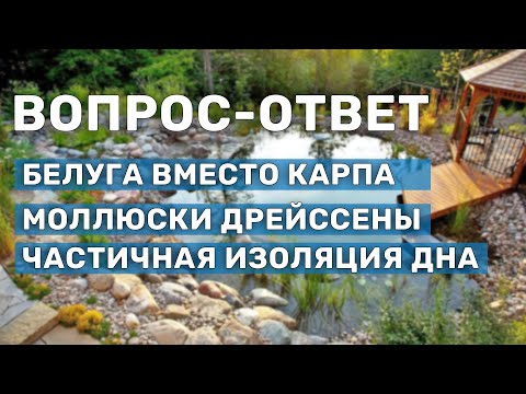 Видео: Обслуживание и создание прудов. Ответ ихтиологам. Вопросы по рыбоводству и эксплуатации водоёмов