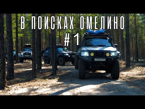 Видео: В поисках Омелино. 1 Серия.