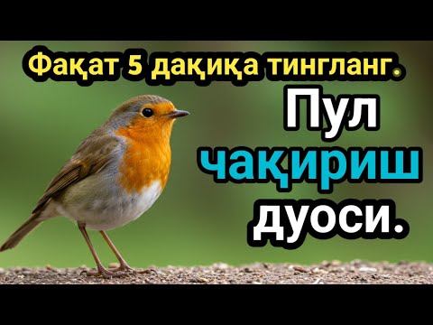 Видео: бу хатни тингланг, Бойлик дуоси | Карзингиздан кутилиб тезда бойиб кетасиз Иншааллох|хаёт хикматларл