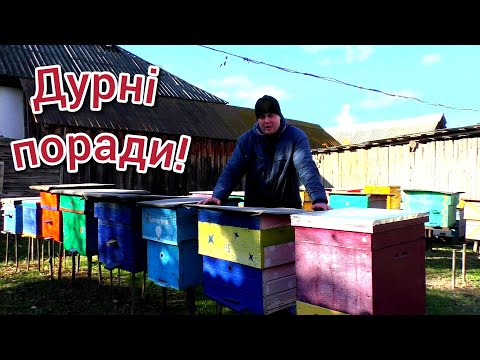 Видео: Все зробили на пасіці? Що робити далі і коли.