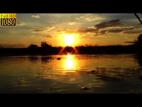 Видео: ХОРОШАЯ РЫБАЛКА ПОЛУЧИЛАСЬ. КАРП, КАРАСЬ. Отдохнул по полной. РЫБАЛКА ДНЕСТР МАЯКИ.