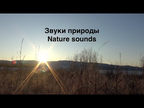 Видео: Звуки природы Релакс видео / весна / Саха Якутия / nature sounds / spring / Sakha Republic