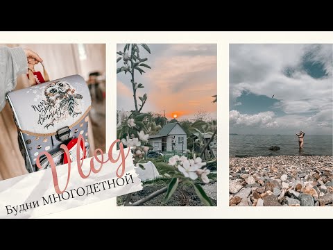 Видео: ВЛОГ•Обзор канцелярии в ПЕРВЫЙ КЛАСС🏫•Строим ДОМ?!🏠 •Наша дача🌸•Старшая не рада еще одной Сестре?🥹