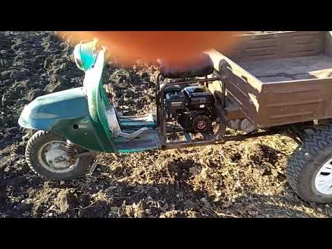 Видео: 29 декабря 2018 г.