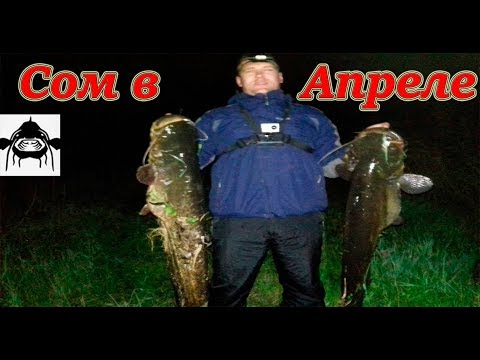 Видео: Ловля Сома в Апреле и Мае 2018