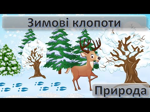 Видео: Зимові клопоти Природа