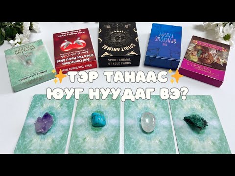 Видео: Тэр танаас юуг нууж байна вэ? 👰🏻‍♀️👩‍❤️‍💋‍👩🐌 | Хайрын тарот мэргэ