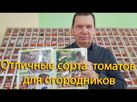 Видео: Отличные сорта  томатов для огородников. Обзор 2023 года