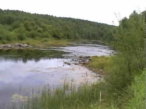 Видео: Архангельская обл. п. Подюга.mpg
