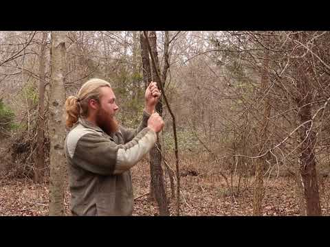 Видео: 3 основные ловушки и введение в ловушки