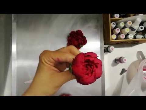 Видео: Пионы бордовые из фасолевой пасты bean paste. Запись эфира 03.06.2019