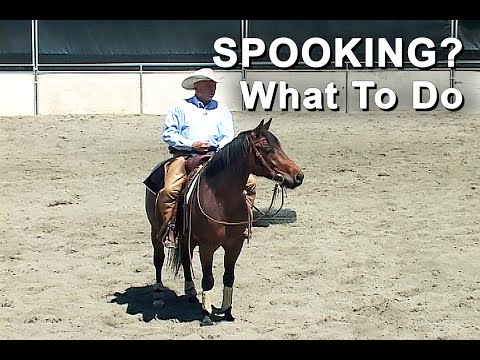 Видео: Лошадиные привидения? Вот что делать