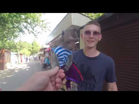 Видео: Архипо-Осиповка, дорога от гостевого дома Уют до моря